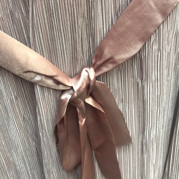 NWT,Rachel Roy Sleeveless Metallic Pleated,blush - Picture 11 of 12